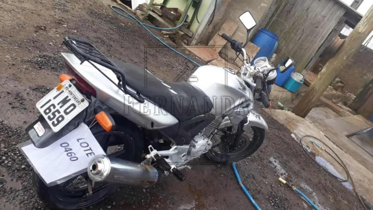 LOTE 0460