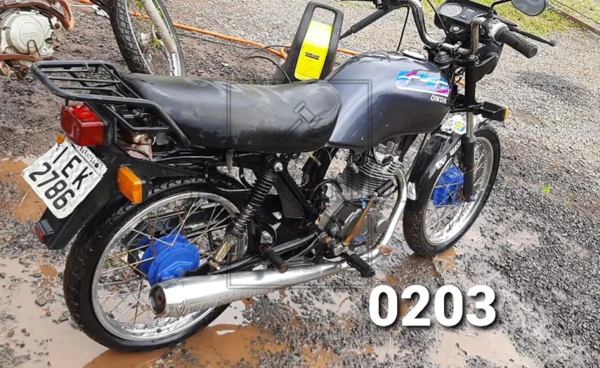 LOTE 0203
