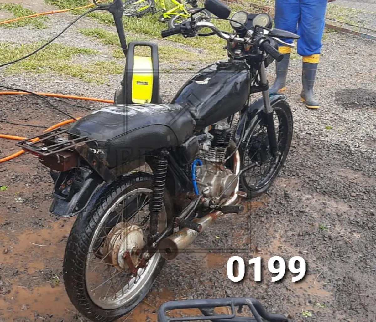 LOTE 0199