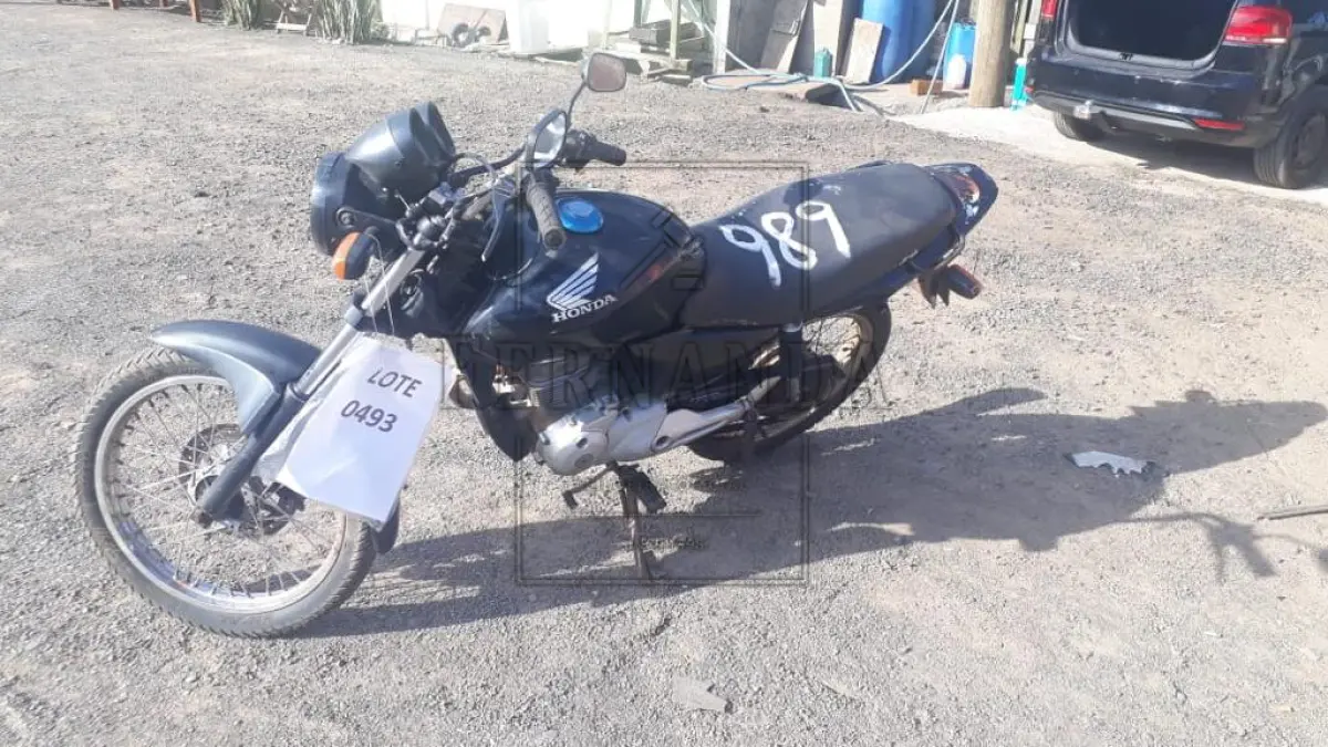 LOTE 0493