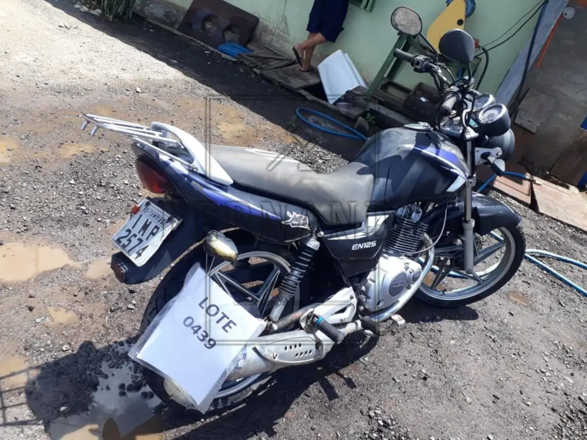 LOTE 0439