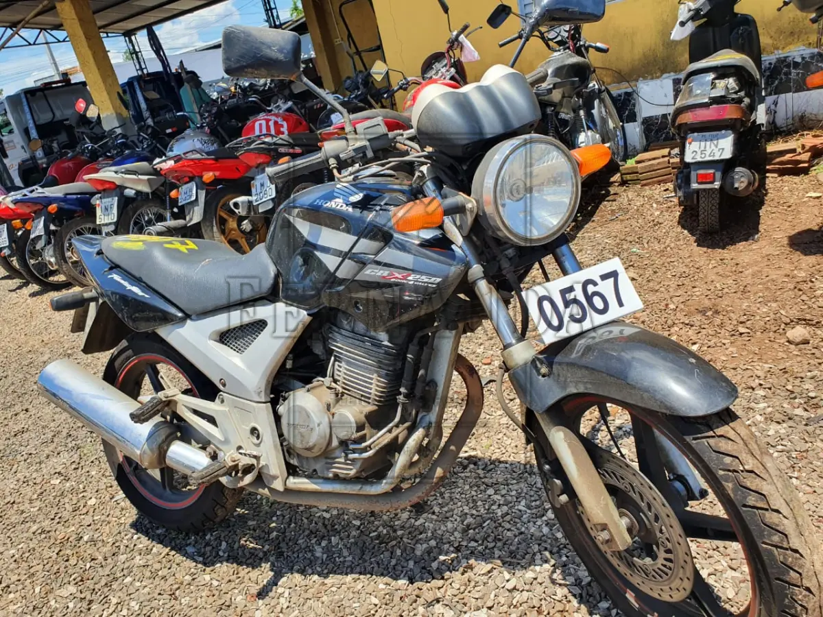 LOTE 0567
