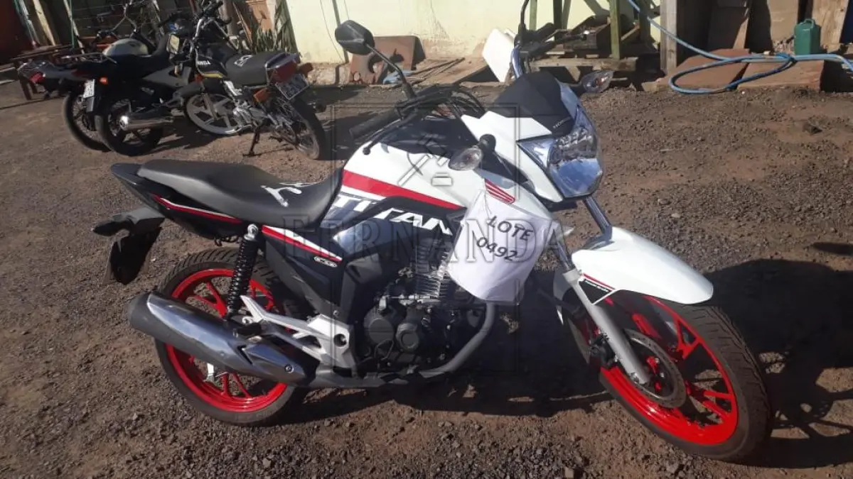 LOTE 0492