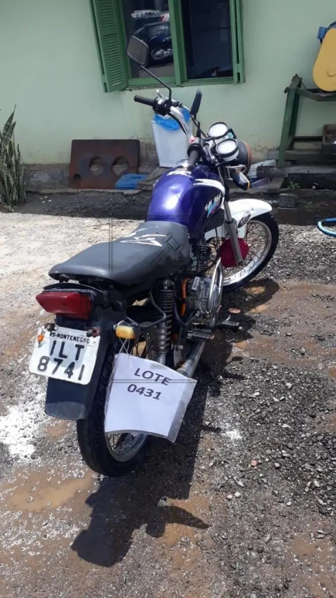 LOTE 0431