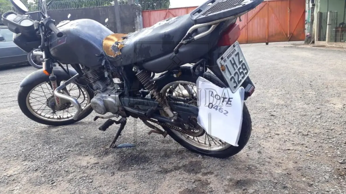 LOTE 0462