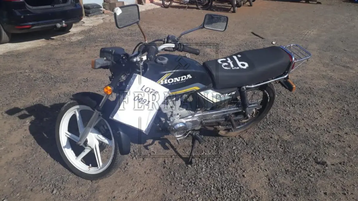 LOTE 0491