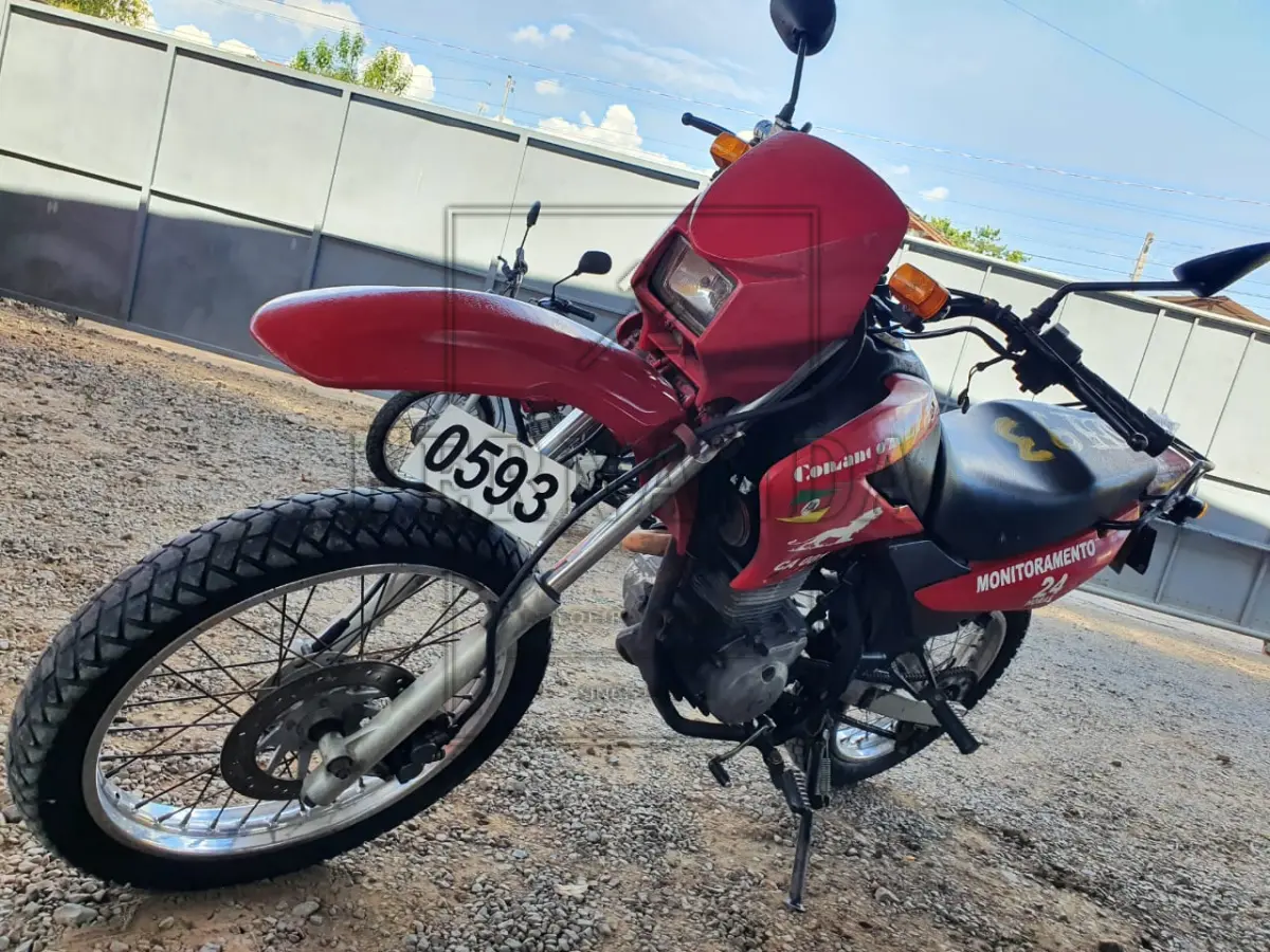 LOTE 0593