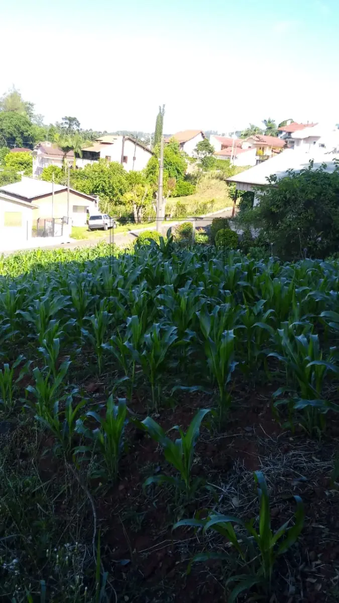 LOTE 001 - HARMONIA/RS - VENDA-DIRETA: TERRENO EM HARMONIA/RS: Um terreno com a superfície de 1.678,06m², sem benfeitorias, situado na zona urbana da cidade de Harmonia, sem quarteirão formado, medindo e confortando-se: ao Norte, onde mede 80,80m, com Flávio Pedro Weber; ao Sul, onde mede 87,00m com Edgar Sost; a Oeste, onde mede 20,00 com Flavio Pedro Weber, e a Leste onde mede 21,00m com Wunibaldo Orth. Matrícula n° 20.636 do CRI de São Sebastião do Caí. ACEITA-SE PARCELAMENTO ATUALIZADO (ATÉ 15 VEZES). IMÓVEL AVALIADO EM R$270.000,00.