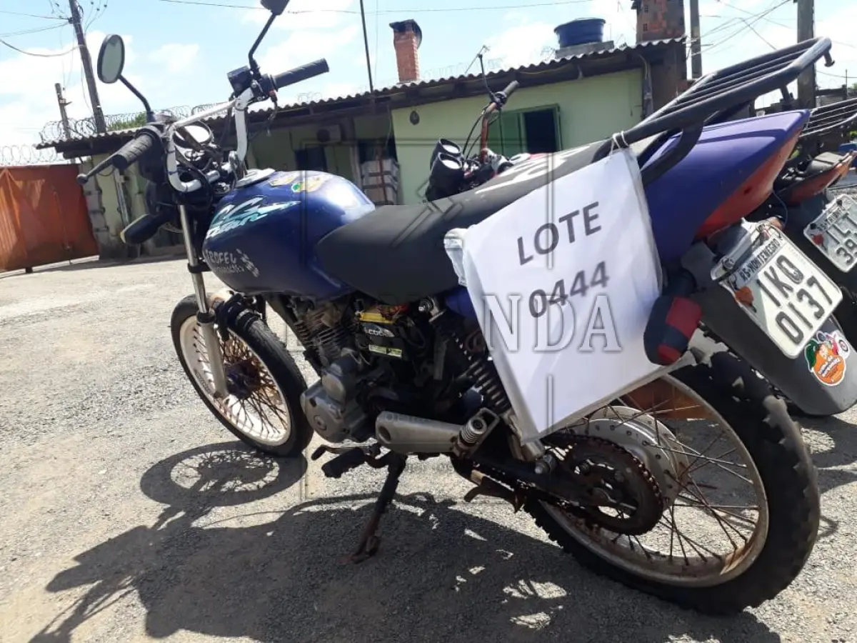 LOTE 0444