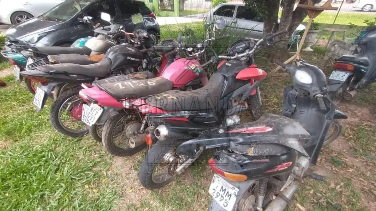 LOTE 0001