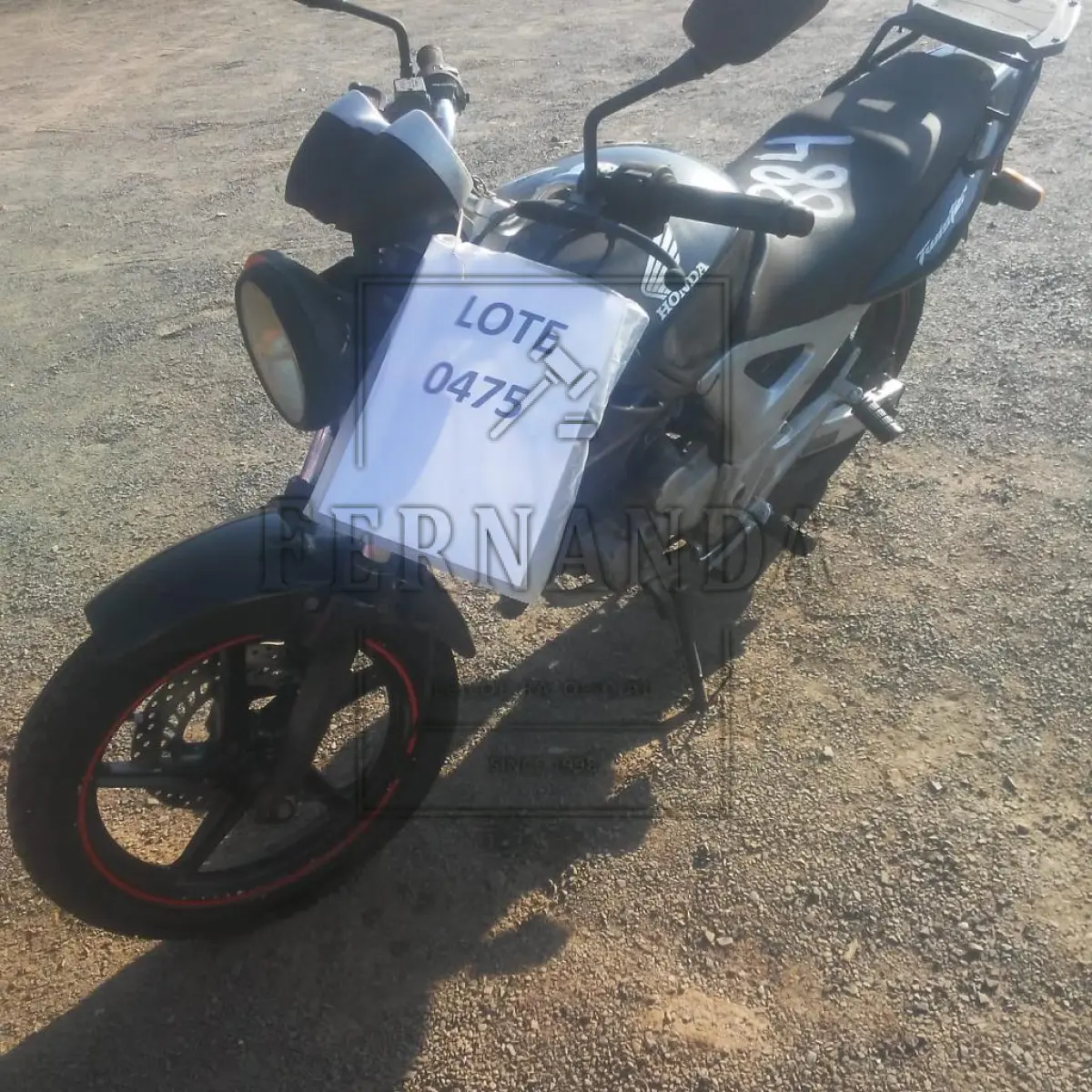 LOTE 0475