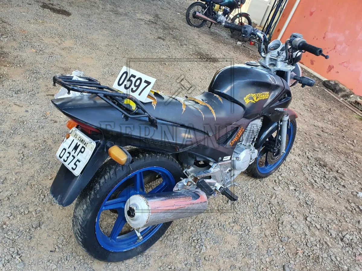 LOTE 0597