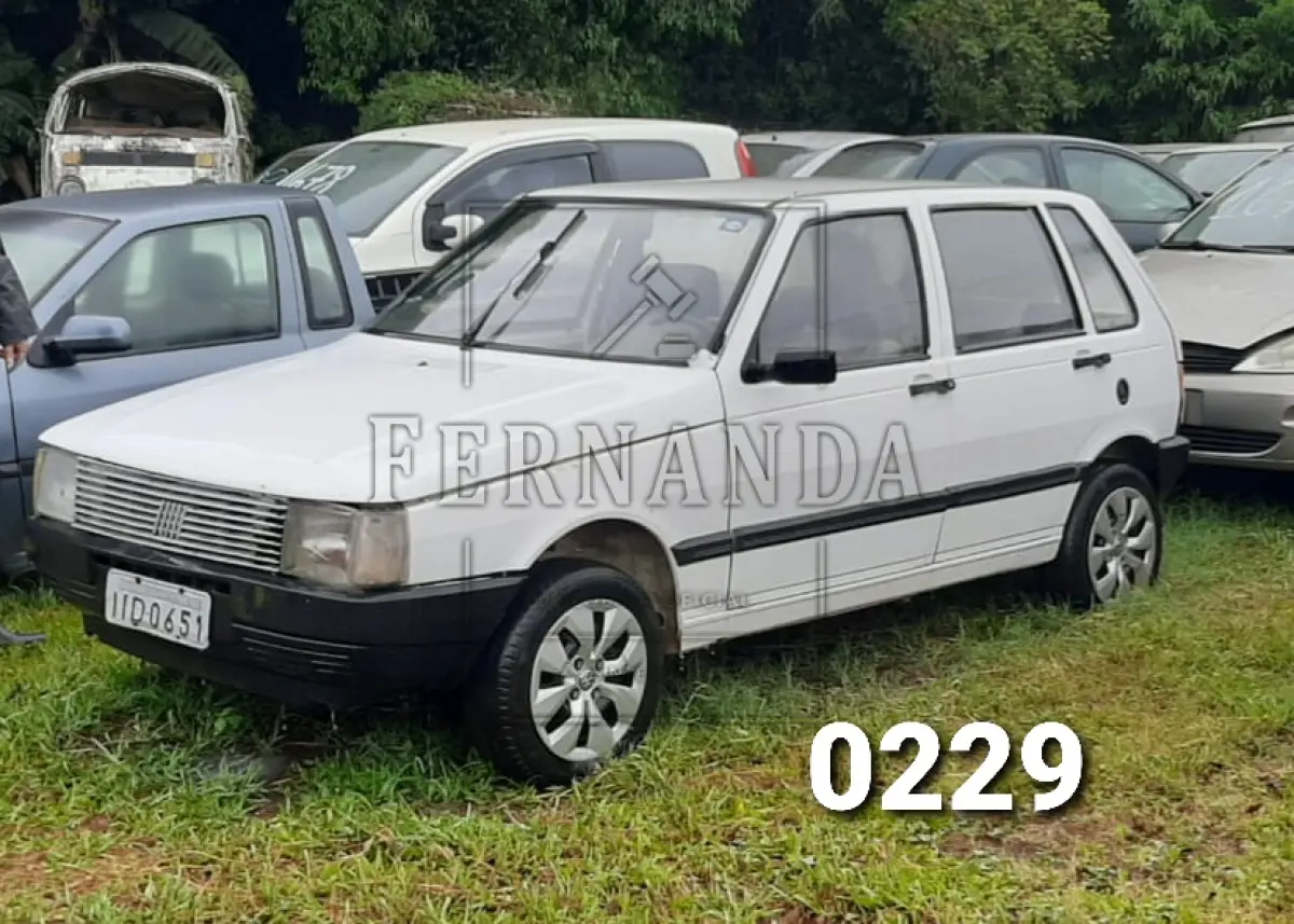 LOTE 0229