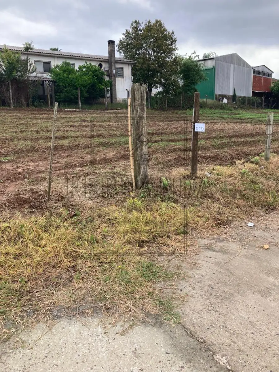 LOTE 019 - Um terreno, localizado no lote n°26, na Rua Vivente Cardoso, medindo 16,38 x 28,63, com área superficial de 424,96m². Avaliado em R$ 57.350,00.