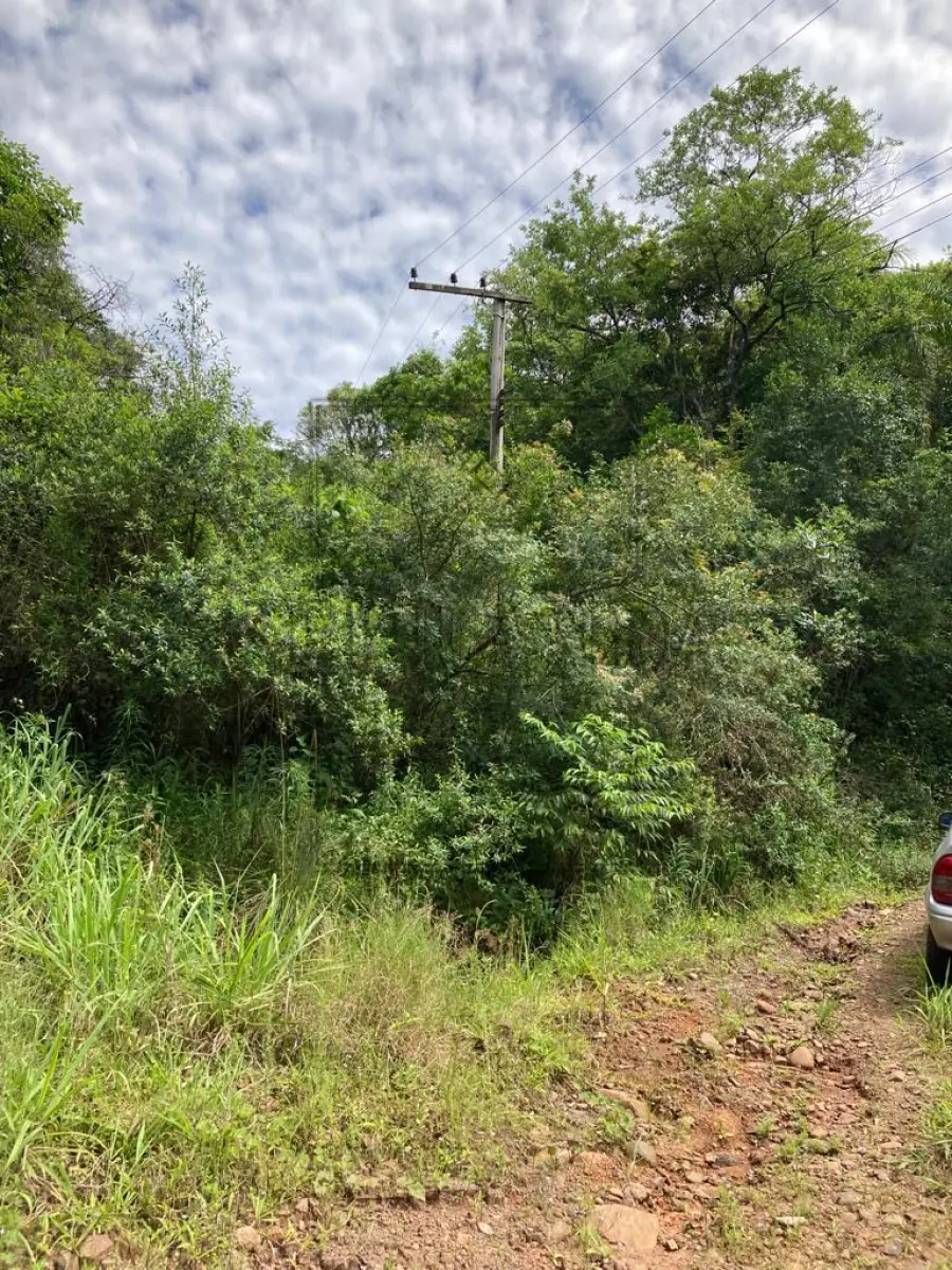 LOTE 001 - HARMONIA/RS - VENDA DIRETA - A parte ideal de 9.000,00m² (nove mil metros quadrados), dentro de área maior de 30.000,00m², sem benfeitorias, situada em Matiel, município de Harmonia, zona rural. Matrícula n° 18.740. Avaliado em R$ 380.000,00. ACEITA-SE PARCELAMENTO ATUALIZADO(ATÉ 15 VEZES).