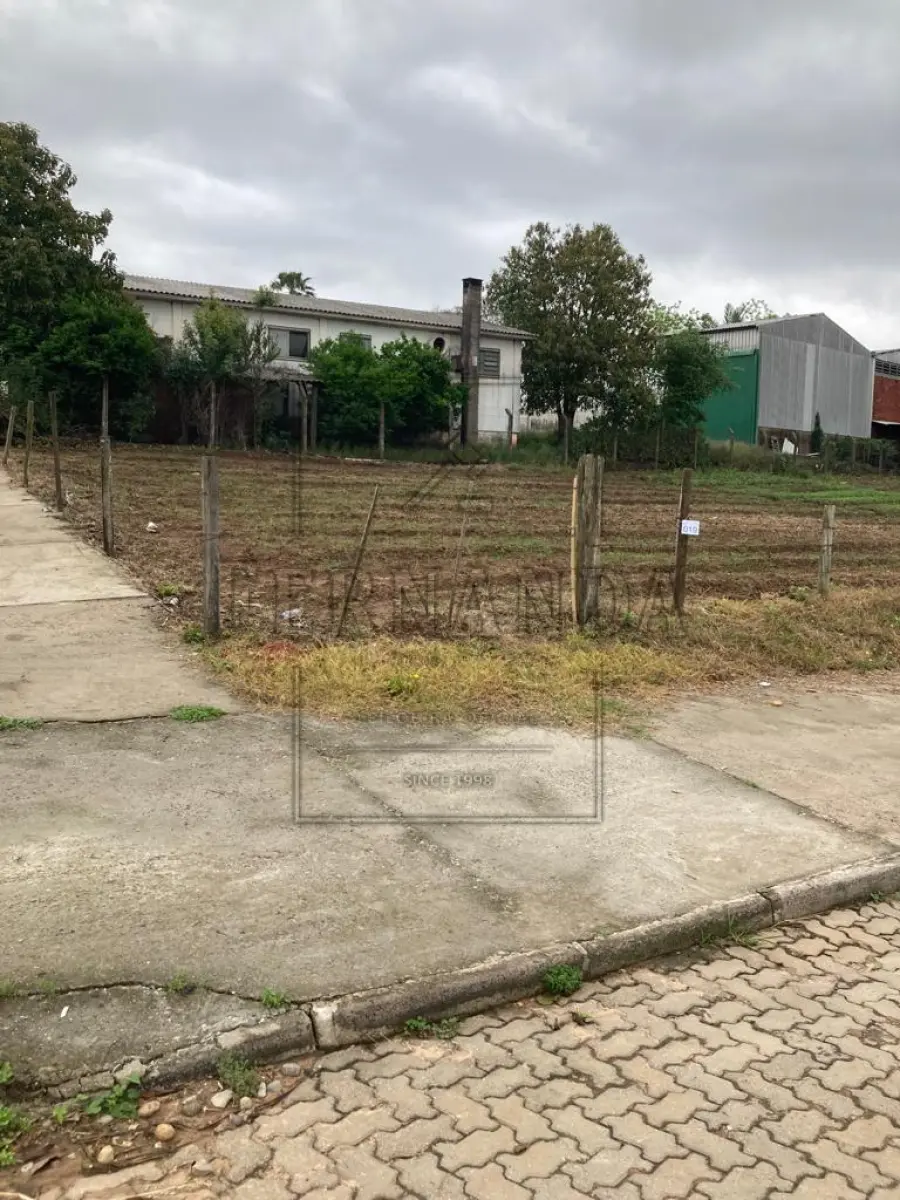 LOTE 019 - Um terreno, localizado no lote n°26, na Rua Vivente Cardoso, medindo 16,38 x 28,63, com área superficial de 424,96m². Avaliado em R$ 57.350,00.