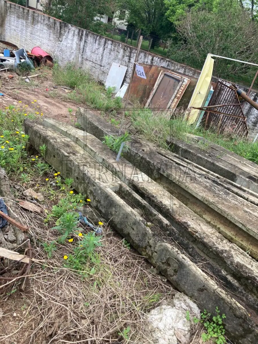 LOTE 024 - Dez postes de concreto com 5,5m. Avaliado em R$ 1.800,00.