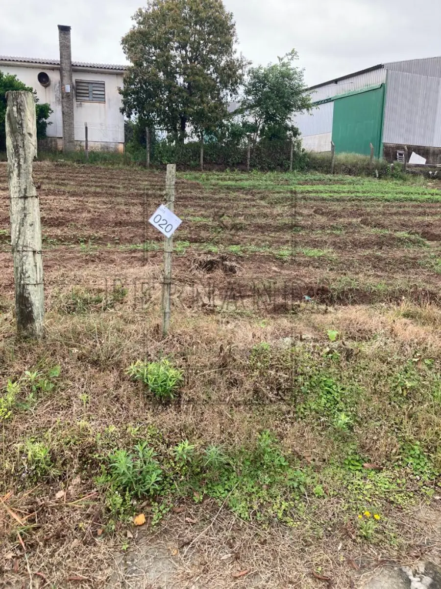 LOTE 020 - Um terreno, localizado no lote n°27, na Rua Vicente Cardoso, medindo 16,38 x 32,76, com área superficial de 491,12m². Avaliado em R$ 66.300,00.