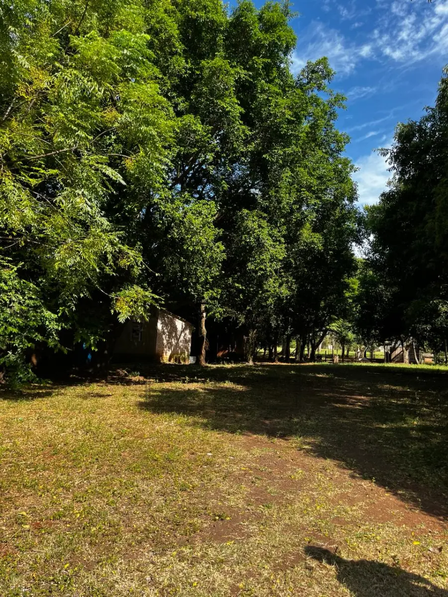 LOTE 023 - Imóvel Matrícula n° 4.496. OBS.: O IMÓVEL POSSUI ÁREA CONSTRUÍDA NÃO AVERBADA NO CARTÓRIO DE REGISTRO DE IMÓVEIS. Avaliado em R$ 980.000,00.