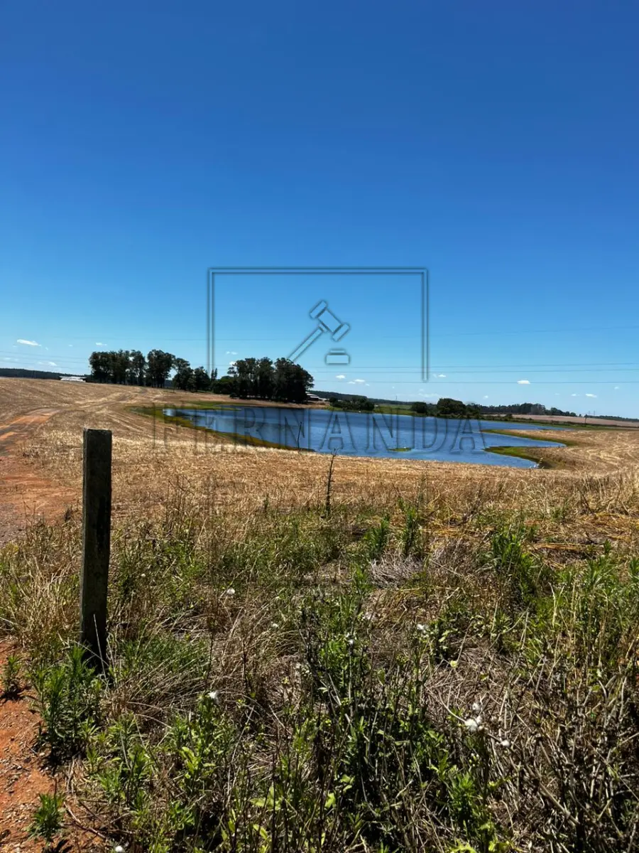 LOTE 001 - Uma área de terras de 137ha.6.438,87mg, dentro de área maior de 649ha.4.975,33mg, matrícula n°2263, do Livro 2 do Registro de Imóveis de Guaíba-RS, denominada Fazenda Arroio dos Ratos, distrito de Bom Retiro do Guaíba. Avaliada em R$ 2.740.000,00. 1° Leilão