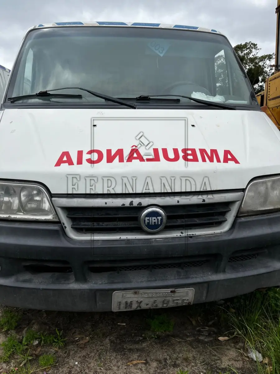 LOTE 003 - CARGA CAMINHONETE FIAT / DUCATO CARGO, ANO/MODELO 2005/2006, PLACA IMX4856,. AVALIADA EM R$ 3.500,00.