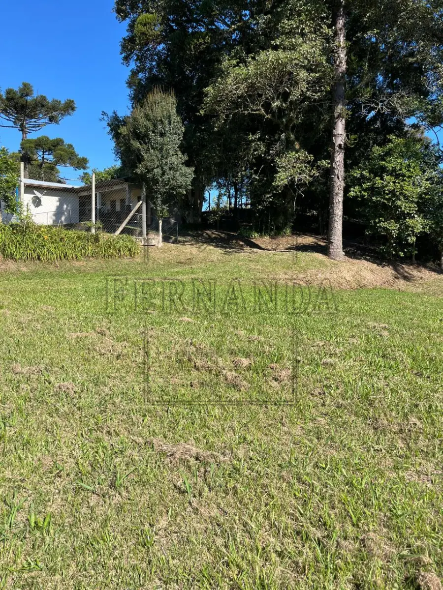 LOTE 005 - IMÓVEL EM SANTA TEREZA/RS: Terreno de 2.980,00m² localizado na Linha primeira Secção de Santa Barbara, Comunidade de São Valentim, Prédio da antiga Escola Municipal Rodrigues Alves. Avaliado em R$ 450.000,00. ACEITA-SE PARCELAMENTO.