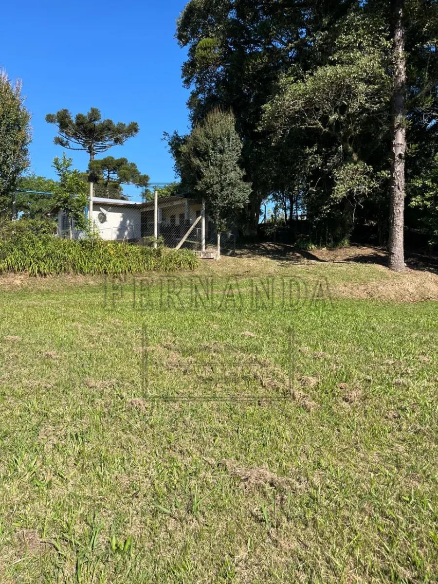 LOTE 005 - IMÓVEL EM SANTA TEREZA/RS: Terreno de 2.980,00m² localizado na Linha primeira Secção de Santa Barbara, Comunidade de São Valentim, Prédio da antiga Escola Municipal Rodrigues Alves. Avaliado em R$ 450.000,00. ACEITA-SE PARCELAMENTO.