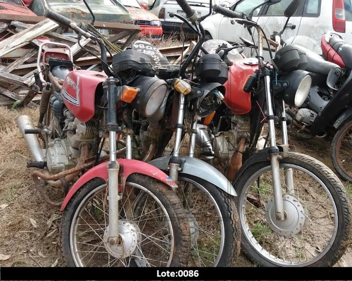 LOTE 0086