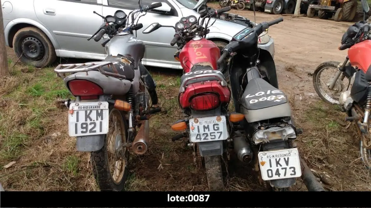LOTE 0087