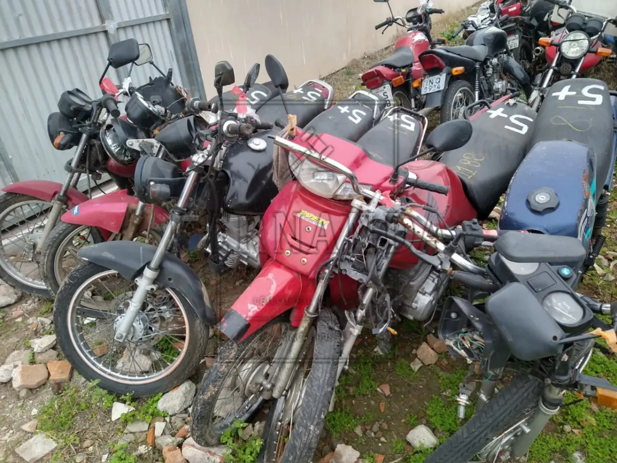 LOTE 0005