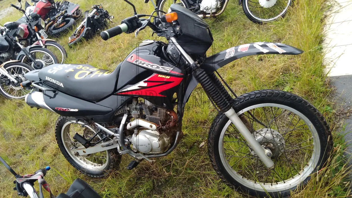 LOTE 0040