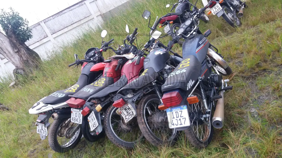 LOTE 0029