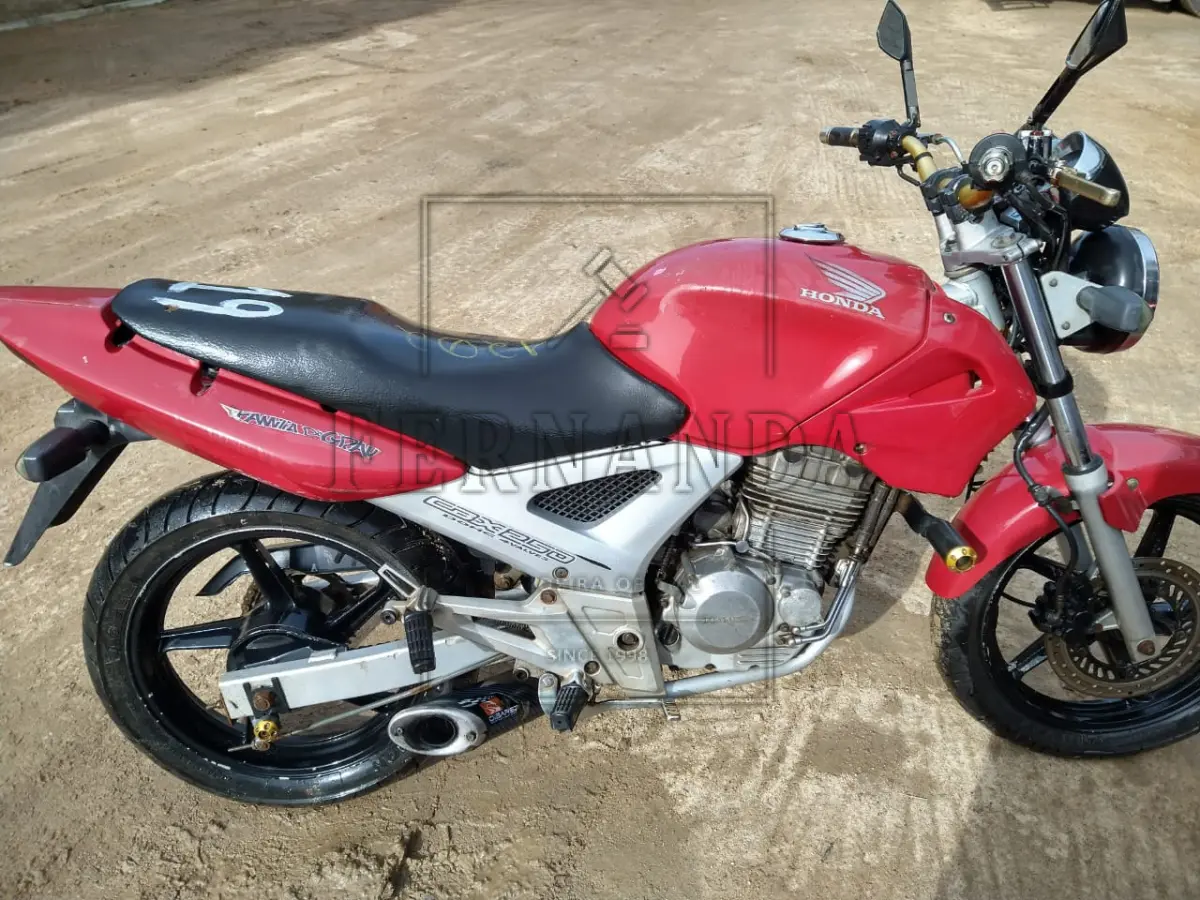 LOTE 0019