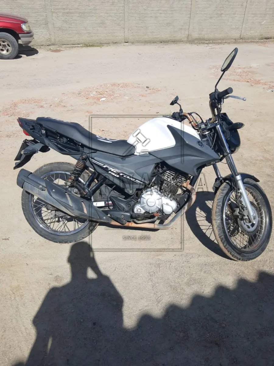 LOTE 0060