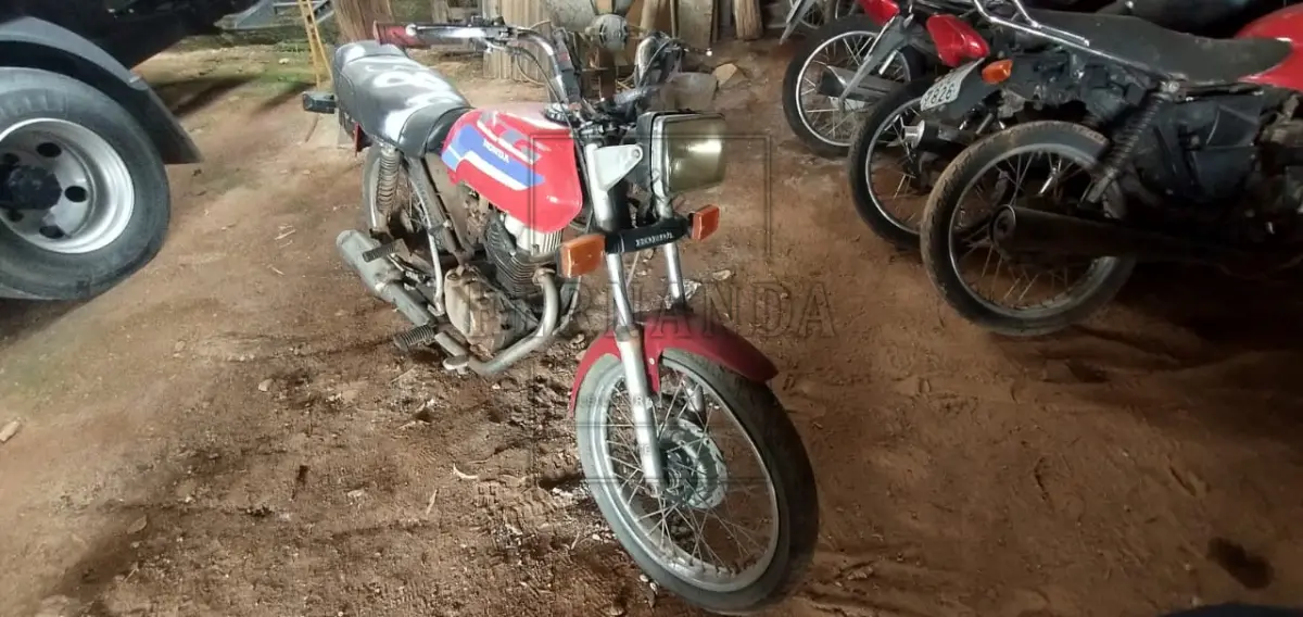 LOTE 0136