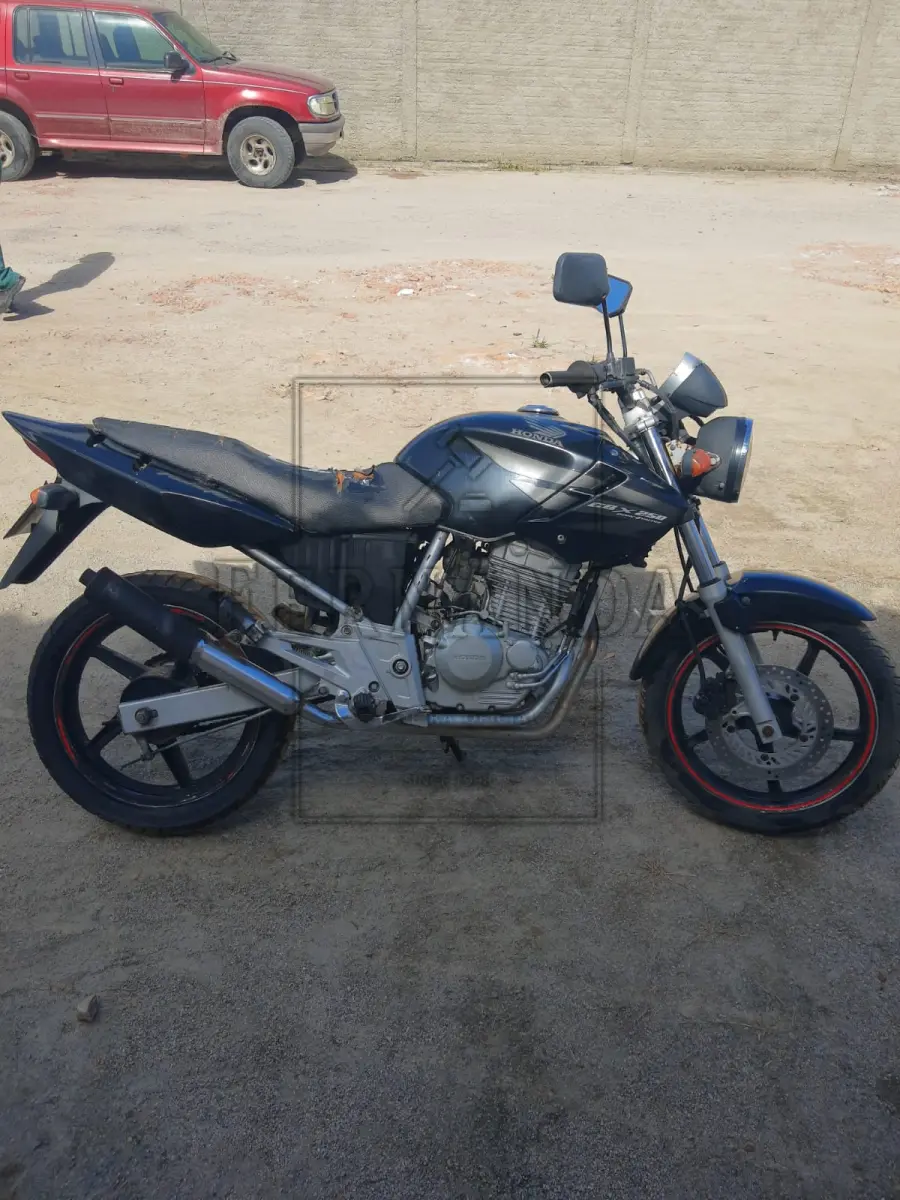 LOTE 0061