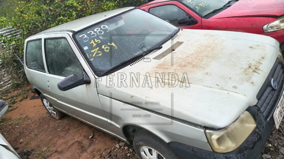 LOTE 0384
