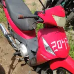 Foto 1
