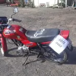 Foto 1