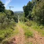 HARMONIA/RS - VENDA DIRETA - A PARTE IDEAL DE 9.000,00M² (NOVE MIL METROS QUADRADOS), DENTRO DE ÁREA MAIOR DE 30.000,00M², SEM BENFEITORIAS, SITUADA EM MATIEL, MUNICÍPIO DE HARMONIA, ZONA RURAL. MATRÍCULA N° 18.740. AVALIADO EM R$ 380.000,00. ACEITA-SE PARCELAMENTO ATUALIZADO(ATÉ 15 VEZES).