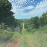 HARMONIA/RS - VENDA DIRETA - A PARTE IDEAL DE 9.000,00M² (NOVE MIL METROS QUADRADOS), DENTRO DE ÁREA MAIOR DE 30.000,00M², SEM BENFEITORIAS, SITUADA EM MATIEL, MUNICÍPIO DE HARMONIA, ZONA RURAL. MATRÍCULA N° 18.740. AVALIADO EM R$ 380.000,00. ACEITA-SE PARCELAMENTO ATUALIZADO(ATÉ 15 VEZES).