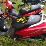 Foto 2