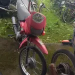 Foto 1