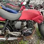 Foto 4