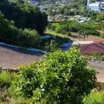 HARMONIA/RS - VENDA-DIRETA: TERRENO EM HARMONIA/RS: UM TERRENO COM A SUPERFÍCIE DE 1.678,06M², SEM BENFEITORIAS, SITUADO NA ZONA URBANA DA CIDADE DE HARMONIA, SEM QUARTEIRÃO FORMADO, MEDINDO E CONFORTANDO-SE: AO NORTE, ONDE MEDE 80,80M, COM FLÁVIO PEDRO WEBER; AO SUL, ONDE MEDE 87,00M COM EDGAR SOST; A OESTE, ONDE MEDE 20,00 COM FLAVIO PEDRO WEBER, E A LESTE ONDE MEDE 21,00M COM WUNIBALDO ORTH. MATRÍCULA N° 20.636 DO CRI DE SÃO SEBASTIÃO DO CAÍ. ACEITA-SE PARCELAMENTO ATUALIZADO (ATÉ 15 VEZES). IMÓVEL AVALIADO EM R$270.000,00.