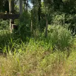HARMONIA/RS - VENDA DIRETA - A PARTE IDEAL DE 9.000,00M² (NOVE MIL METROS QUADRADOS), DENTRO DE ÁREA MAIOR DE 30.000,00M², SEM BENFEITORIAS, SITUADA EM MATIEL, MUNICÍPIO DE HARMONIA, ZONA RURAL. MATRÍCULA N° 18.740. AVALIADO EM R$ 380.000,00. ACEITA-SE PARCELAMENTO ATUALIZADO(ATÉ 15 VEZES).