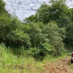 HARMONIA/RS - VENDA DIRETA - A PARTE IDEAL DE 9.000,00M² (NOVE MIL METROS QUADRADOS), DENTRO DE ÁREA MAIOR DE 30.000,00M², SEM BENFEITORIAS, SITUADA EM MATIEL, MUNICÍPIO DE HARMONIA, ZONA RURAL. MATRÍCULA N° 18.740. AVALIADO EM R$ 380.000,00. ACEITA-SE PARCELAMENTO ATUALIZADO(ATÉ 15 VEZES).