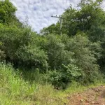 HARMONIA/RS - VENDA DIRETA - A PARTE IDEAL DE 9.000,00M² (NOVE MIL METROS QUADRADOS), DENTRO DE ÁREA MAIOR DE 30.000,00M², SEM BENFEITORIAS, SITUADA EM MATIEL, MUNICÍPIO DE HARMONIA, ZONA RURAL. MATRÍCULA N° 18.740. AVALIADO EM R$ 380.000,00. ACEITA-SE PARCELAMENTO ATUALIZADO(ATÉ 15 VEZES).