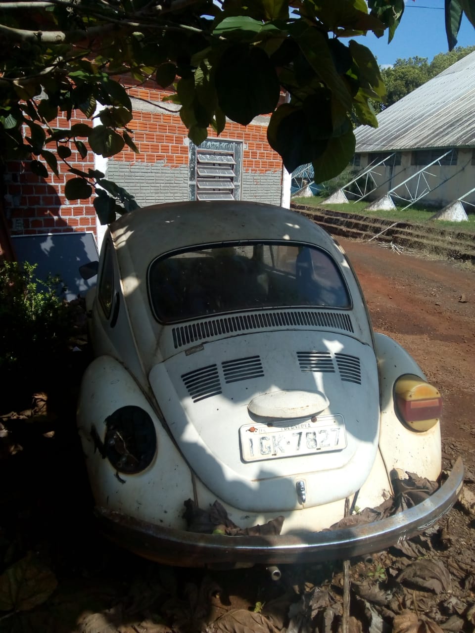 Foto 4