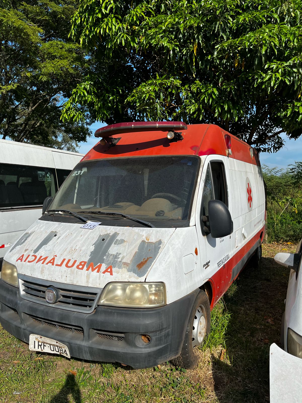 Foto 5